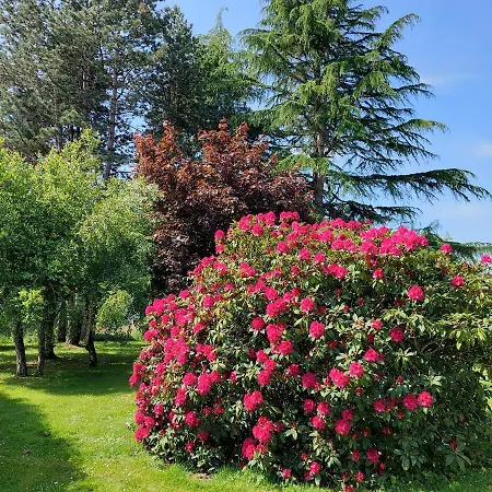 La Cressonniere 56 Bed & Breakfast Missiriac